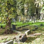 Judaica Opola &#8211; ocalić od zapomnienia- od 19 października