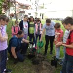 Uczniowie posadzili drzewa w chróścickiej podstawówce