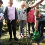 Uczniowie posadzili drzewa w chróścickiej podstawówce