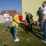 Drzewka wolności w sołectwach gminy Niemodlin