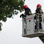 Dobrzeń Mały. Strażacy interweniowali przy połamanym drzewie [ZDJĘCIA]