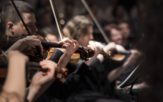 Koncert z cyklu „Z orkiestrą po zamkach i pałacach”