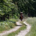 Patrole konne rywalizowały na 100-kilometrowej trasie [ZDJĘCIA, AUDIO]