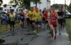 Chróścice. Kilkudziesięciu amatorów biegania wystartowało w „Biegu po chrust”