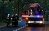 Konar na drodze wojewódzkiej nr 461. Ruch był zatrzymany, a strażacy usuwali przeszkodę