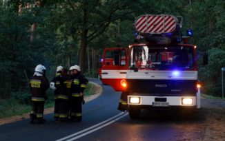 Konar na drodze wojewódzkiej nr 461. Ruch był zatrzymany, a strażacy usuwali przeszkodę Konar na drodze wojewódzkiej nr 461. Ruch był zatrzymany, a strażacy usuwali przeszkodę