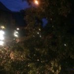 Połamane drzewo w Lubieni