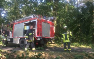 Wypadek na trasie Karłowice–Popielów [ZDJĘCIA]