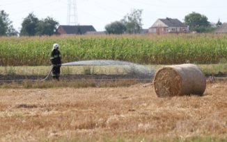 Kolejny pożar ścierniska. Tym razem w Dobrzeniu Wielkim [ZDJĘCIA]