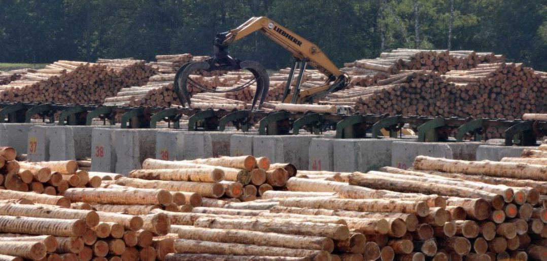 Stora Enso Wood Products w Murowie poszukuje pracowników