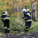 Zwalone drzewa, ranni w lesie &#8211; mroczny scenariusz ćwiczeń w Kup