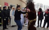 W Kępie powiedli niedźwiedzia