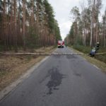 Dobrzeńscy strażacy usunęli zagrażające kierowcom drzewo [ZDJĘCIA]