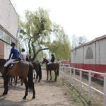 Ostatnie halowe zawody jeździeckie w LKJ Ostroga