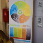 Gmina Ozimek realizuje kampanię informacyjno-edukacyjną