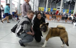 Międzynarodowa Wystawa Psów w CWK. Tłumy podziwiają najpiękniejsze rasy [WIDEO, ZDJĘCIA]