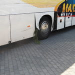 Wypadek autobusu w Dobrzeniu Wielkim. Kierowcę oślepiło słońce