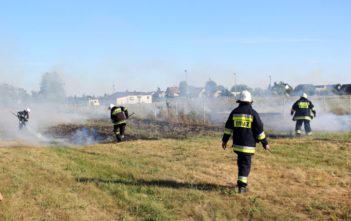 Pożar nieużytków w Popielowie