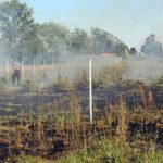 Pożar nieużytków w Popielowie