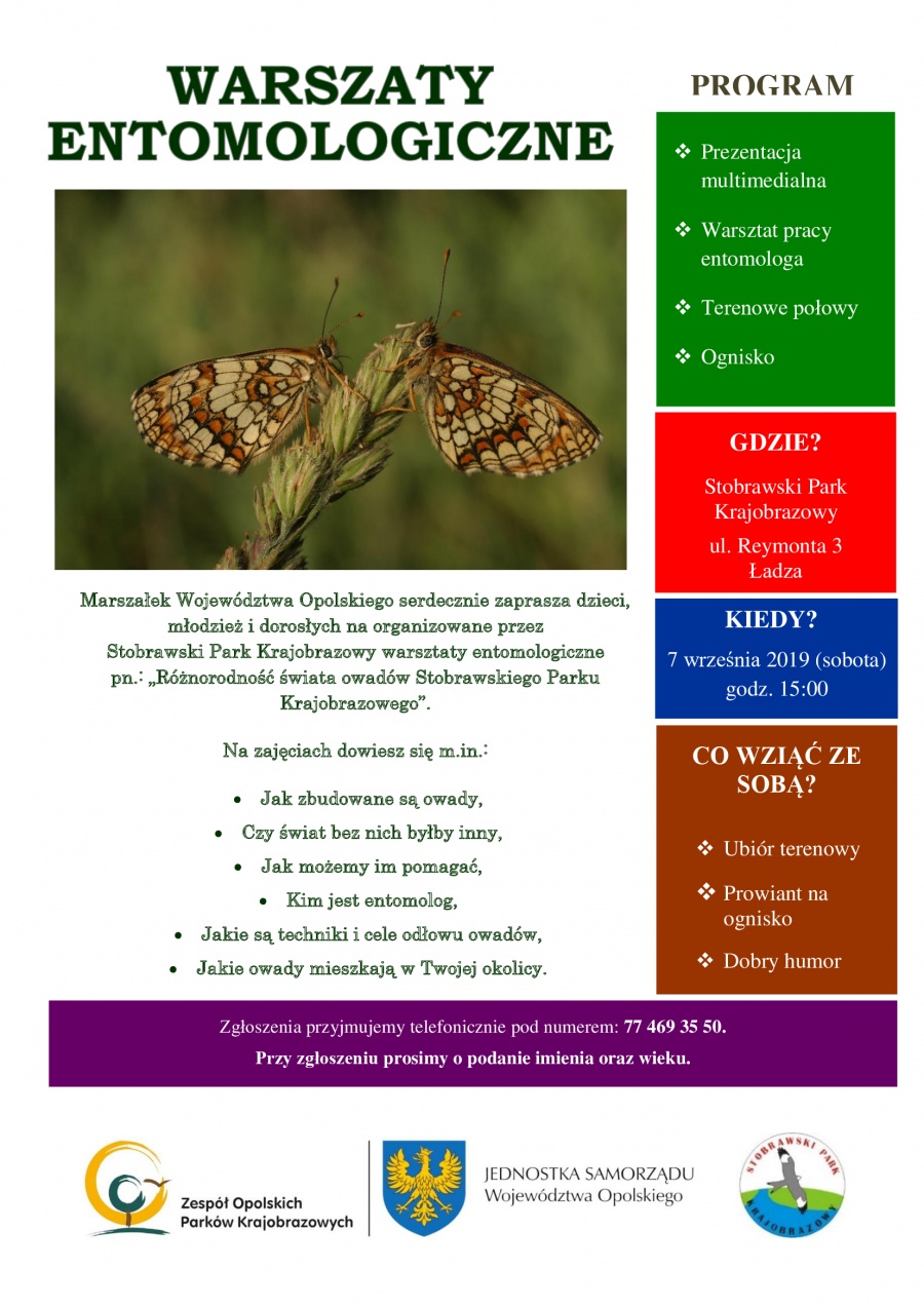 Poznaj świat owadów &#8211; warsztaty entomologiczne w Stobrawskim Parku Krajobarzowym