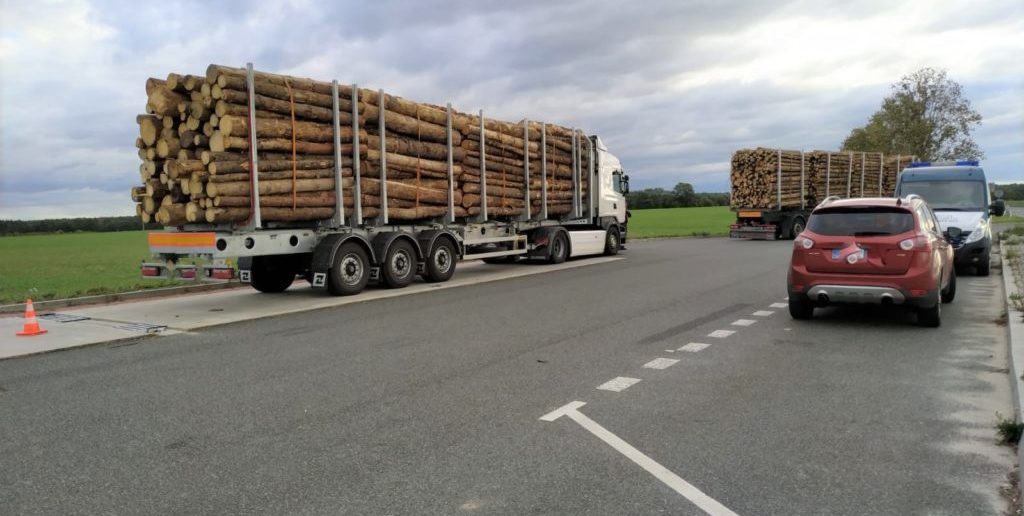 Zatrzymano trzy ciężarówki z przeładowanym drewnem