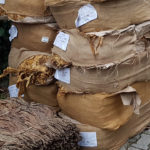 Setki kilogramów przetworzonego suszu tytoniowego w Kędzierzynie-Koźlu