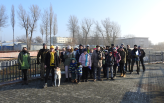 Zimowe Ptakoliczenie w Opolu. W naszym mieście żyje ponad 200 gatunków ptaków Zimowe Ptakoliczenie w Opolu. W naszym mieście żyje ponad 200 gatunków ptaków
