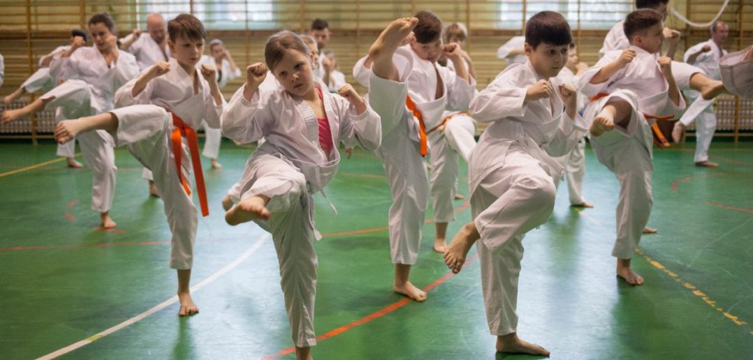 Karatecy z dobrzeńskiego klubu „Ari” zdawali egzamin pod okiem wicemistrza świata [GALERIA]