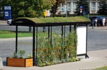 Opole. Pierwszy zielony przystanek powstanie przy ulicy Oleskiej