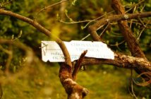 Nie będzie ogrodu botanicznego w Pomologii