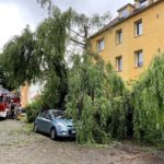 Opole. Drzewo przewróciło się na zaparkowany samochód