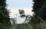 Wyładowanie atmosferyczne przyczyną braku prądu w Popielowie [ZDJĘCIA]