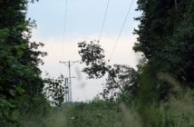 Wyładowanie atmosferyczne przyczyną braku prądu w Popielowie [ZDJĘCIA]