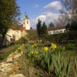 Wakacyjny szlak przez gminę Murów. Ogród botaniczny [GALERIA]