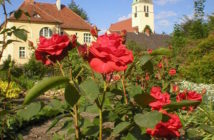 Wakacyjny szlak przez gminę Murów. Ogród botaniczny