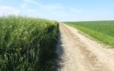 Trzy kolejne umowy drogowe podpisane: Murów, Głogówek i Głuchołazy