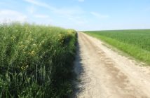 Trzy kolejne umowy drogowe podpisane: Murów, Głogówek i Głuchołazy
