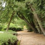 Ogród botaniczny w Zagwiździu, czyli jak mądrze komponować zieleń
