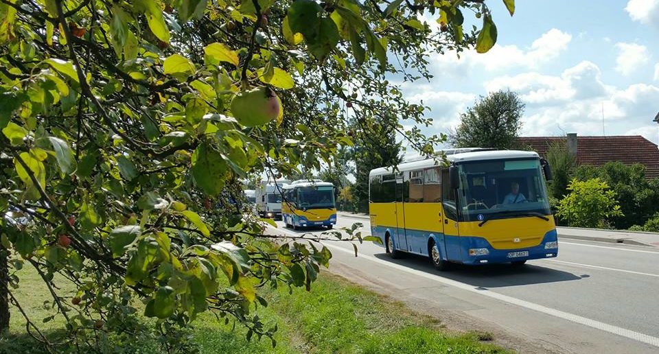 Od 1 września w gminie Dąbrowa pojawi się dowóz do szkół i przedszkoli