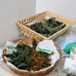 KGW &#8222;Dobrzenianki&#8221;. Częstują pyszną herbatą i promują okoliczne zioła