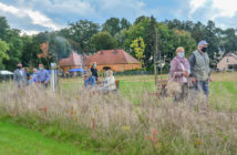 Nowy park w Niewodnikach otwarty