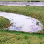 Rośnie poziom wody w Odrze w Opolu. Dochodzi do podtopień [zdjęcia]