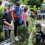 Uczniowie z Kup posadzili drzewa na terenie szkoły