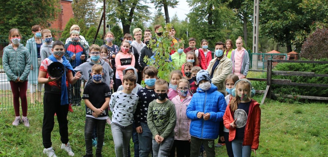 Uczniowie z Kup posadzili drzewa na terenie szkoły