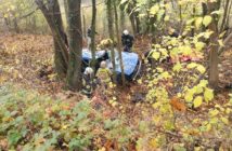 Śmiertelny wypadek w Turawie. Zginął kierowca audi