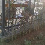 W Opolu stanęła wiata pierwszego zielonego przystanku