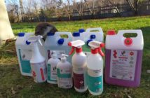 Ratują ranne dzikie zwierzęta, potrzebują wsparcia