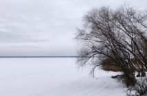 Jeziora Turawskie w zimowej odsłonie [GALERIA]