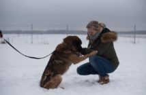 Opolski TOZ zawiesza działalność interwencyjną