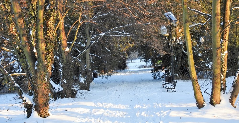Park i pałac w Dąbrowie w zimowym słońcu&#8230; [fotogaleria]